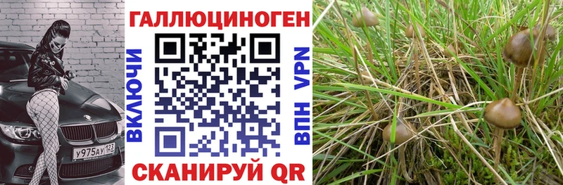 Галлюциногенные грибы Magic Shrooms  Купить закладки  Моршанск 