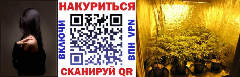 Конопля AK-47  Купить где  Моршанск 